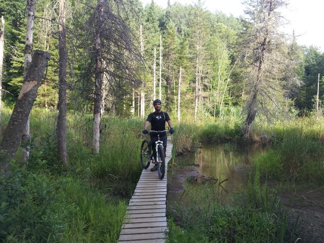 A mountain biker riding on a narrow wooden bridge over a small body of water, surrounded by dense greenery and trees. The scene captures a moment in a natural setting, highlighting the adventure of biking in a forested area. Kingdom Trails mountain bike trail.