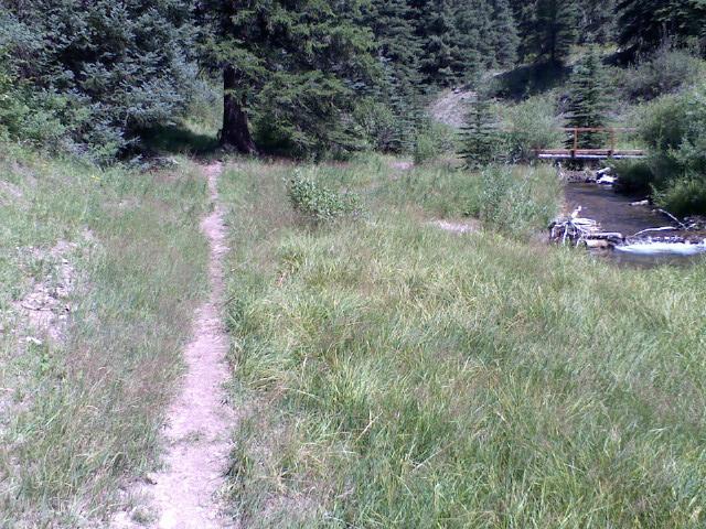 A dirt path winds through tall green grass, surrounded by trees. A stream can be seen on the right, with a wooden bridge crossing over it in the background. The scene depicts a tranquil natural setting ideal for hiking or exploring. Three Forks Trail mountain bike trail.