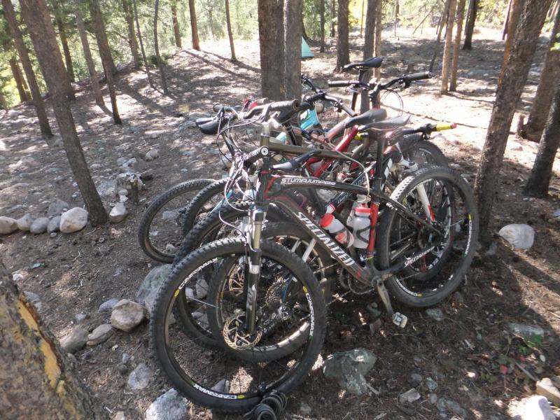 A group of mountain bikes parked among the trees in a forested area, with sunlight filtering through the foliage. The bikes are closely arranged, showcasing various styles and colors, on a dirt ground scattered with rocks and surrounded by tall trees.