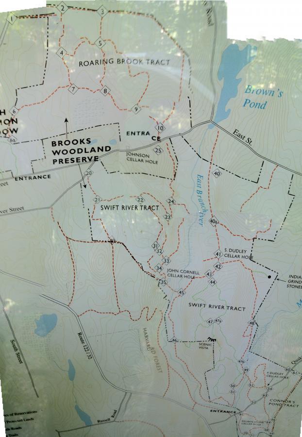 Map of Brooks Woodland Preserve, featuring trails such as Roaring Brook Tract and Swift River Tract, marked paths, and notable landmarks like Brown