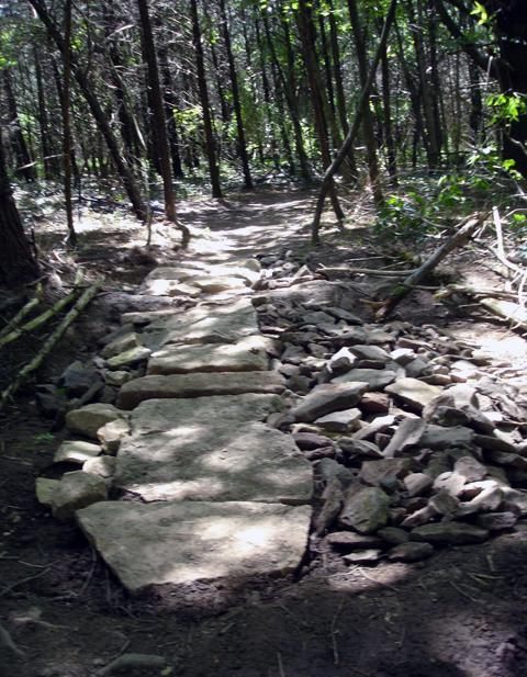 A narrow dirt trail winding through a dense forest, with a path made of large stone slabs partially covered by loose rocks and natural debris. Sunlight filters through the trees, illuminating the surroundings. Nockamixon State Park mountain bike trail.