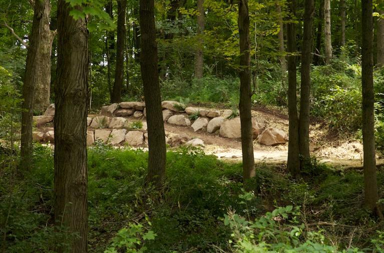 A rocky structure surrounded by trees in a lush forest setting, with greenery and underbrush in the foreground. Nockamixon State Park mountain bike trail.