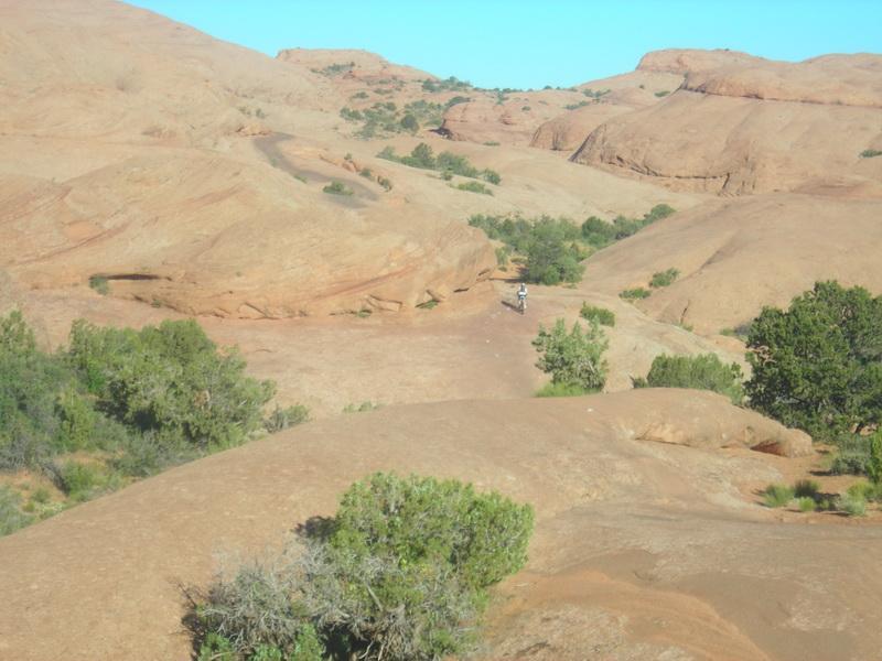 A panoramic view of a desert landscape featuring smooth, rocky terrain and sparse vegetation. In the distance, a small figure can be seen traversing the landscape, surrounded by natural rock formations and scattered trees. The sky is clear and blue, illuminating the warm tones of the earthy ground. Slickrock mountain bike trail.