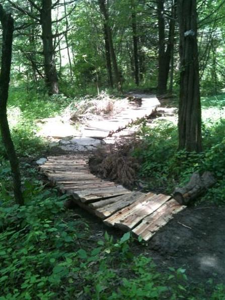 A narrow, rustic wooden path winding through a lush green forest, surrounded by trees and dense underbrush. The path appears to have been constructed from logs and wooden planks, leading deeper into the natural surroundings. Sunlight filters through the foliage, highlighting the texture of the wood and the greenery. Nockamixon State Park mountain bike trail.