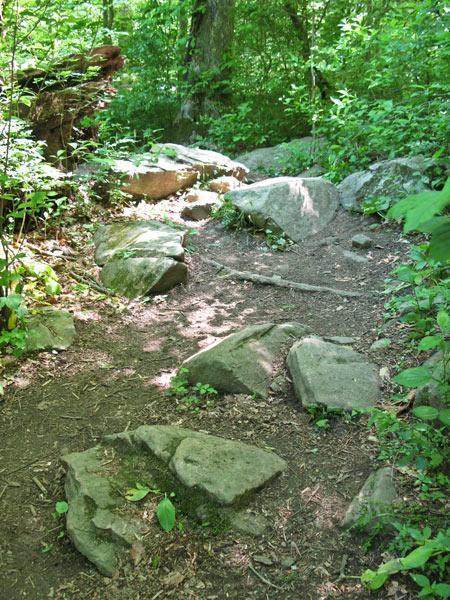 A narrow dirt path winding through a lush green forest, with scattered rocks and boulders lining the trail. Sunlight filters through the trees, illuminating the foliage and creating a serene, natural atmosphere. Brandywine State Park mountain bike trail.
