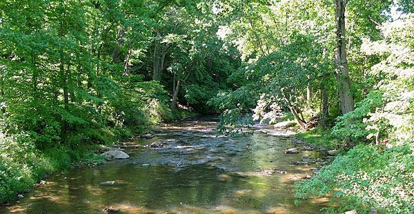 A serene view of a clear, gently flowing river bordered by lush green trees and underbrush. The sunlight filters through the leaves, creating dappled patterns on the water's surface and highlighting the natural beauty of the landscape. Rocky outcrops are visible in the water, adding to the tranquil atmosphere. Fair Hill mountain bike trail.