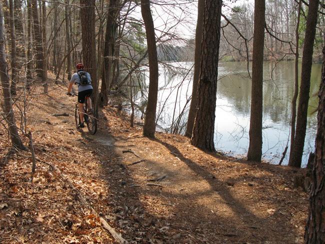 A person riding a mountain bike along a dirt trail bordered by trees, with a calm river visible on the right side. The scene is set in a wooded area during the daytime, with fallen leaves on the ground and sunlight filtering through the branches. Lake Maury mountain bike trail.