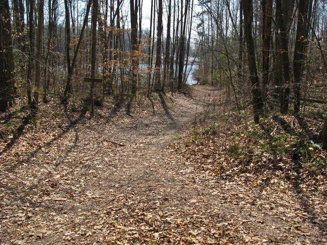 A winding dirt path through a wooded area, flanked by trees. Leaves cover the ground, and a small lake is visible in the background. A signpost stands to the left of the trail, indicating a potential direction or information about the area. Beaverdam Park mountain bike trail.