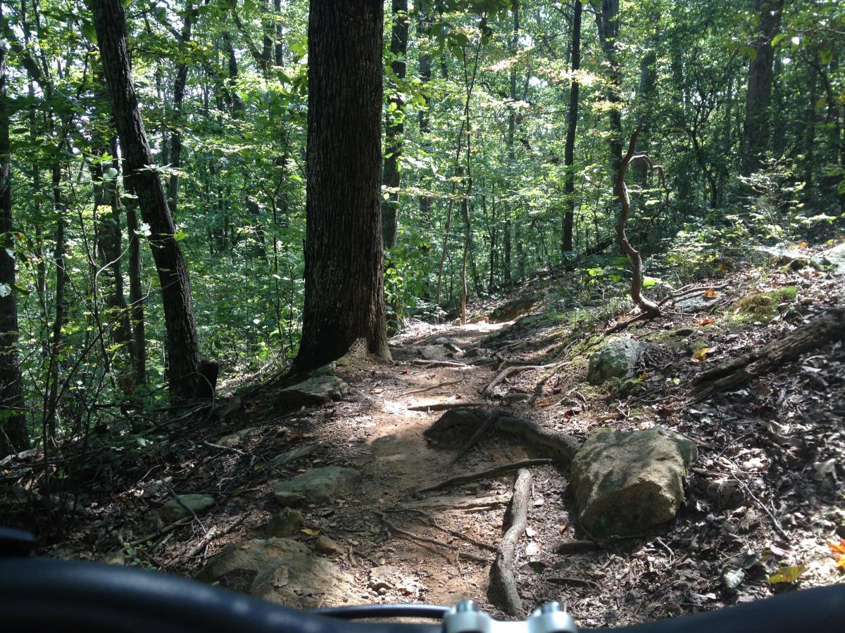 A narrow dirt path winding through a lush forest, surrounded by tall trees and greenery. The trail is rocky and uneven, with visible roots and stones scattered along the ground, suggesting a natural and rugged terrain. The sunlight filters through the leaves above, creating a dappled light effect on the path. Walnut Creek mountain bike trail.