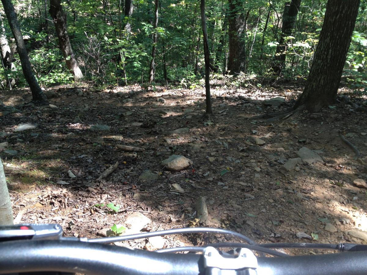A view of a dirt path surrounded by trees in a forest, captured from the perspective of a bicycle handlebar. The ground is rocky and covered with leaves, with sunlight filtering through the trees. Walnut Creek mountain bike trail.