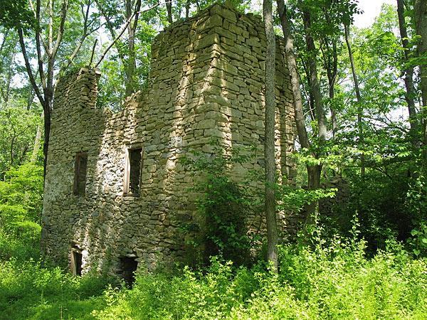 Alt text: A partially collapsed stone building surrounded by dense greenery and trees, indicating a blend of nature and historical architecture. The building has two visible windows and remnants of its structure, with overgrown plants at its base. Fair Hill mountain bike trail.