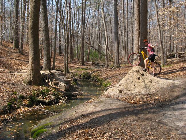 A cyclist standing on a small dirt mound in a wooded area, holding a bike with one hand and gesturing with the other. A winding stream flows nearby, surrounded by leaf-covered ground and tall trees in the background. The scene captures the essence of outdoor adventures in nature. Lake Maury mountain bike trail.