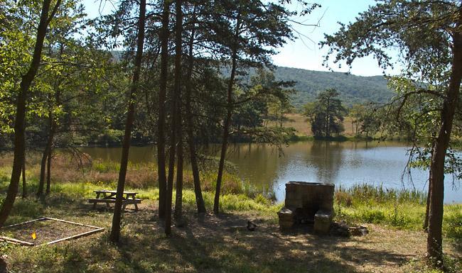 A tranquil lakeside scene featuring a calm body of water surrounded by lush green trees and hills in the background. In the foreground, there is a picnic table and a fire pit area, ideal for outdoor gatherings and relaxation. Massanutten Western Slope mountain bike trail.