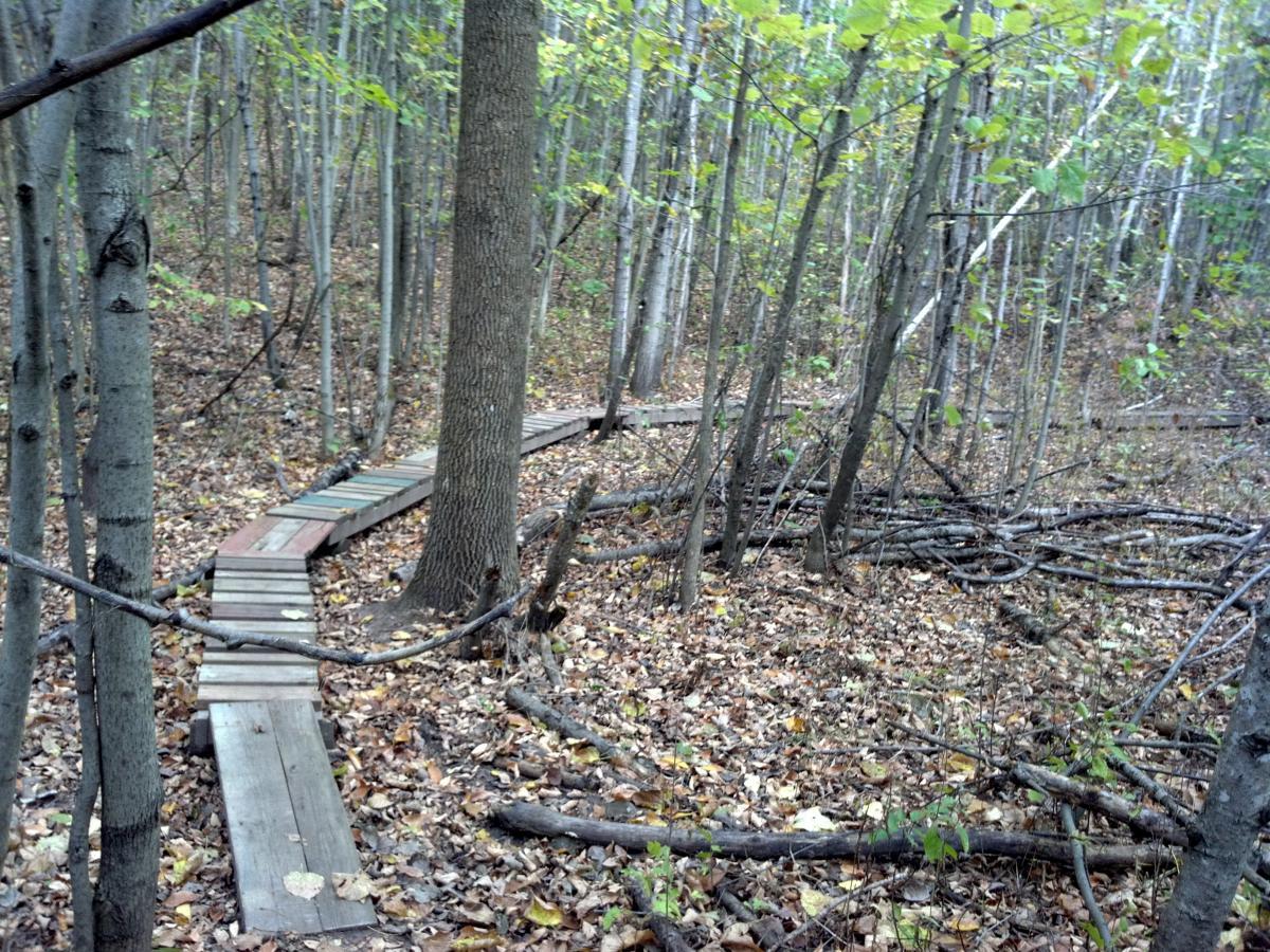 A winding wooden pathway meanders through a forest, surrounded by trees and scattered autumn leaves on the ground. The trail is made of planks and passes by a tree, leading deeper into the woods. Hickory Ridge mountain bike trail.