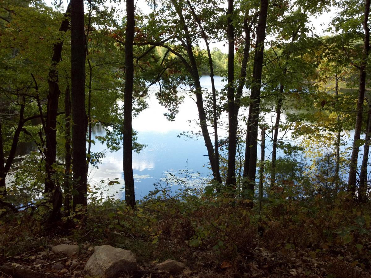 A serene view of a calm lake surrounded by trees. The surface of the water reflects the sky and nearby foliage, creating a natural frame of greens and blues. Some rocks are visible in the foreground, adding to the natural landscape. Hickory Ridge mountain bike trail.