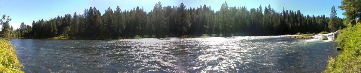 A panoramic view of a serene river flowing through a lush forest. Tall trees line the riverbanks, reflecting sunlight on the water's surface, creating a tranquil and natural landscape. Deschutes River mountain bike trail.