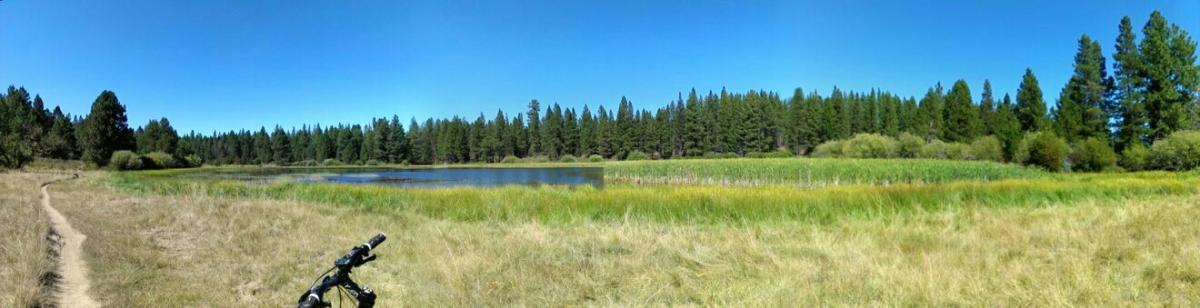 A panoramic view of a serene landscape featuring a pond surrounded by lush greenery and tall trees under a clear blue sky, with a bicycle leaning on the grassy path in the foreground. Deschutes River mountain bike trail.