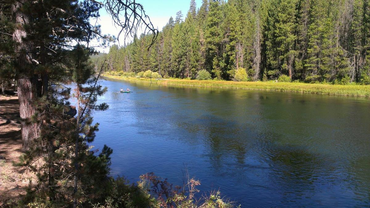 A scenic view of a calm river flowing through a forested landscape, with tall green trees lining the banks. A small boat can be seen on the water, surrounded by lush greenery and a clear blue sky. Sunlight reflects off the surface of the water, creating a peaceful and serene atmosphere. Deschutes River mountain bike trail.