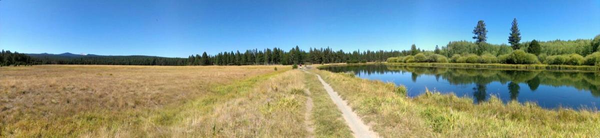 A panoramic view of a serene landscape featuring a clear blue sky above a grassy field, bordered by a calm pond reflecting the trees. A dirt path runs alongside the pond, leading through the vibrant greenery and trees in the background, creating a peaceful natural setting. Deschutes River mountain bike trail.