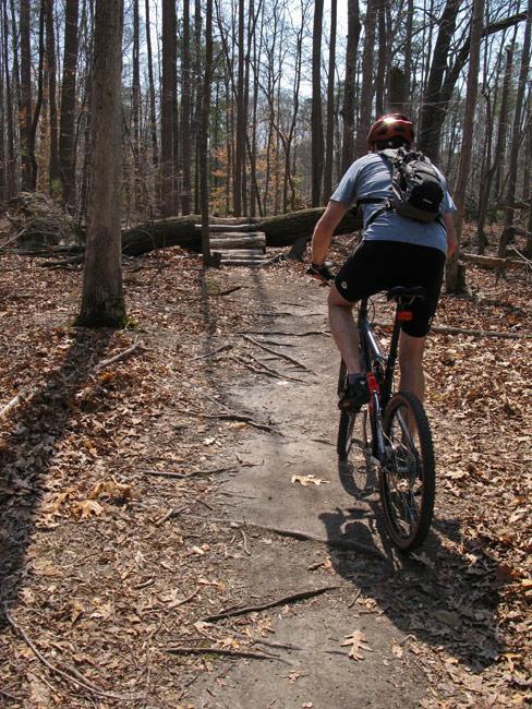 A cyclist riding a mountain bike along a wooded trail covered in fallen leaves, with a fallen tree in the background and tall trees lining the path on either side. Lake Maury mountain bike trail.