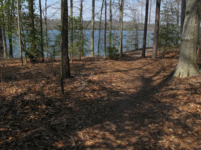 A forest path lined with trees and scattered leaves, leading towards a calm lake in the background. The scene is bathed in natural light, with clear skies visible through the branches. Beaverdam Park mountain bike trail.