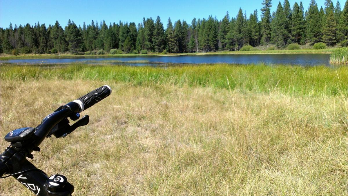A close-up view of a bicycle handlebar in the foreground, with a scenic landscape featuring a calm lake surrounded by lush green grass and tall pine trees in the background under a clear blue sky. Deschutes River mountain bike trail.