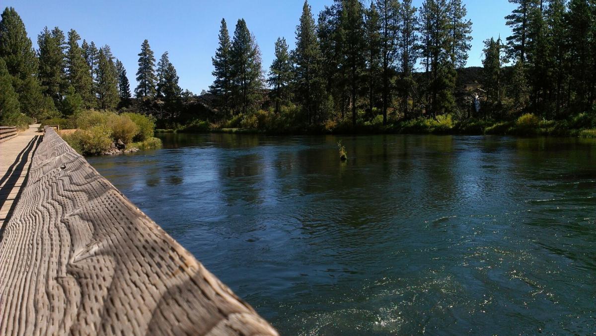A tranquil riverside scene featuring a wooden walkway alongside a calm river, surrounded by tall evergreen trees and lush greenery under a clear blue sky. Deschutes River mountain bike trail.