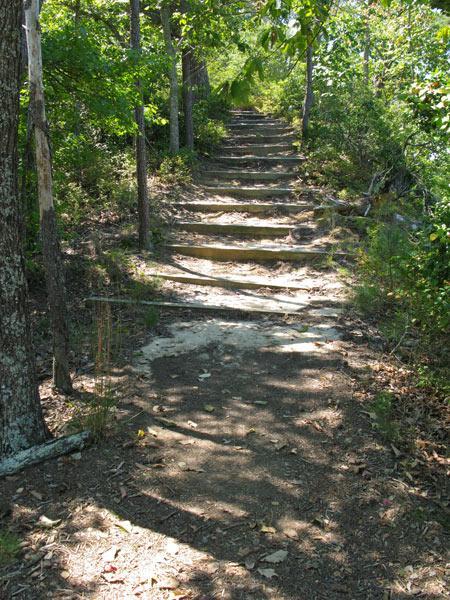 A narrow, tree-lined path featuring stone steps leading upward, surrounded by greenery. Sunlight filters through the leaves, creating dappled shadows on the ground. York River State Park mountain bike trail.