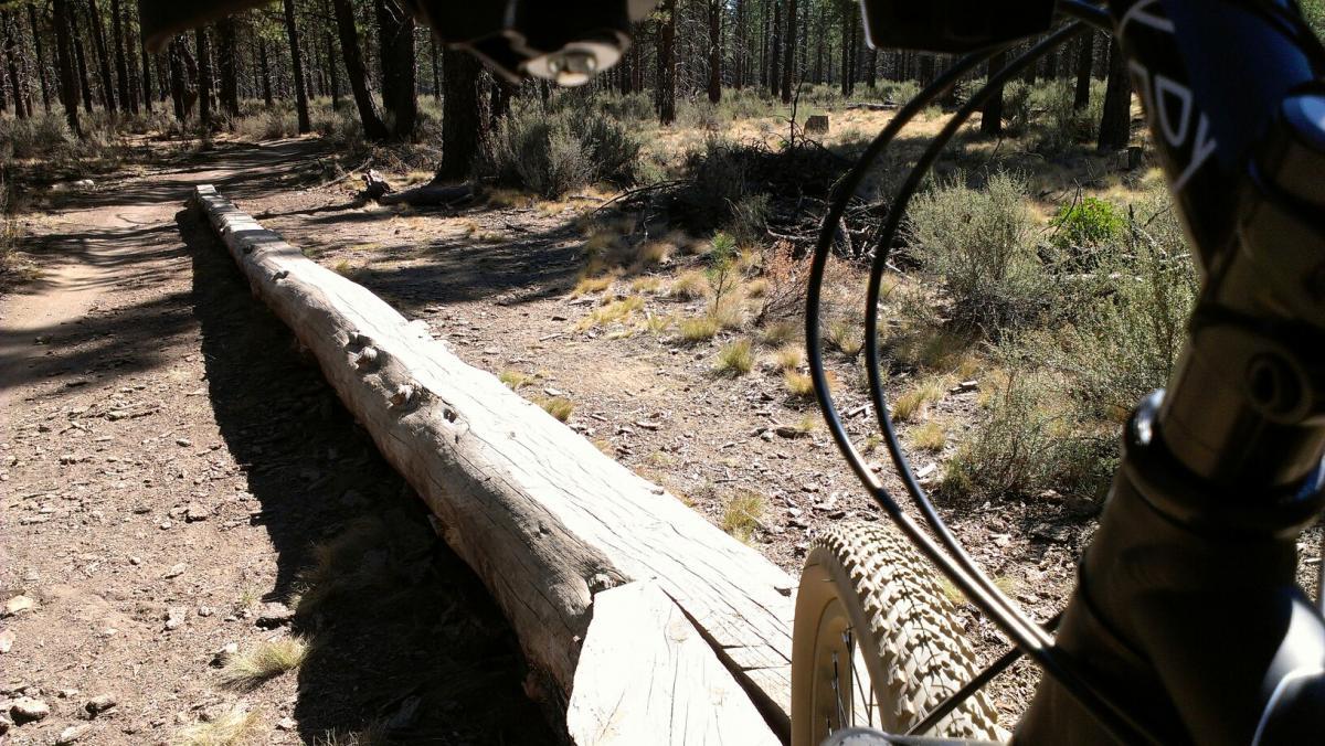 A close-up view of a mountain bike handlebar and front tire resting beside a large fallen log on a dirt trail, surrounded by trees and shrubs in a sunny forest setting. The trail curves into the distance, indicating a scenic outdoor biking route. Phil's Area mountain bike trail.