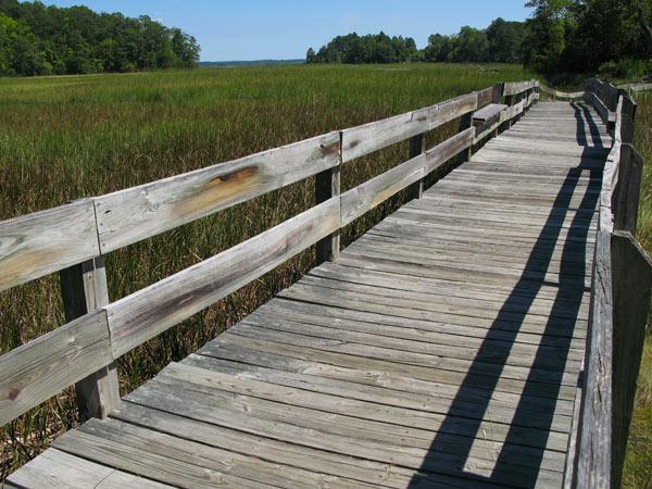 A wooden boardwalk leading through a grassy marshland, with lush greenery and trees in the background under a clear blue sky. The boardwalk has weathered wooden planks and railings casting long shadows along its path. York River State Park mountain bike trail.