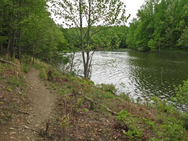 A peaceful lakeside scene featuring a dirt path winding along the water's edge, surrounded by lush green trees and foliage. The calm lake reflects the greenery, creating a serene atmosphere. Clopper Lake mountain bike trail.