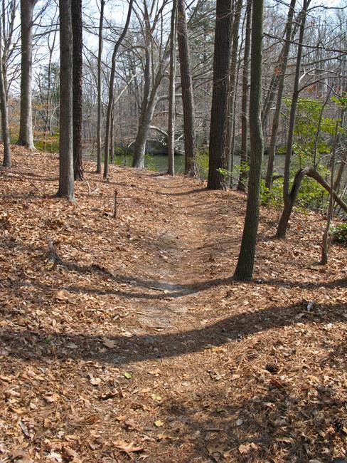 A winding dirt trail surrounded by bare trees and fallen leaves, leading towards a body of water in the background. The scene is set in a tranquil, wooded area during early spring. Lake Maury mountain bike trail.