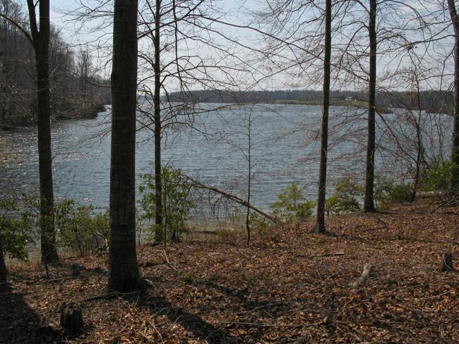 A serene view of a lake framed by trees, with dry leaves covering the ground. The water reflects the clear sky, and a few bushes are visible along the shoreline, creating a tranquil natural setting. Beaverdam Park mountain bike trail.
