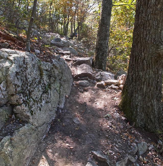 A narrow, rocky hiking trail winding through a wooded area, flanked by large trees on either side. The path is uneven, with exposed rocks and dirt, and scattered autumn leaves on the ground. Sunlight filters through the tree canopy, illuminating the vibrant colors of the foliage in the background. Massanutten Western Slope mountain bike trail.
