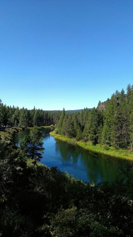 A serene landscape featuring a calm river winding through a dense forest of evergreen trees under a clear blue sky. The greenery reflects in the water, creating a picturesque natural scene. Deschutes River mountain bike trail.