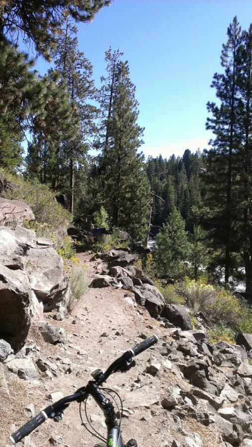 Mountain biking trail surrounded by tall pine trees and rocky terrain, with a clear blue sky overhead and a glimpse of water in the background. The handlebars of a bicycle are in the foreground, indicating the trail's rugged nature. Deschutes River mountain bike trail.