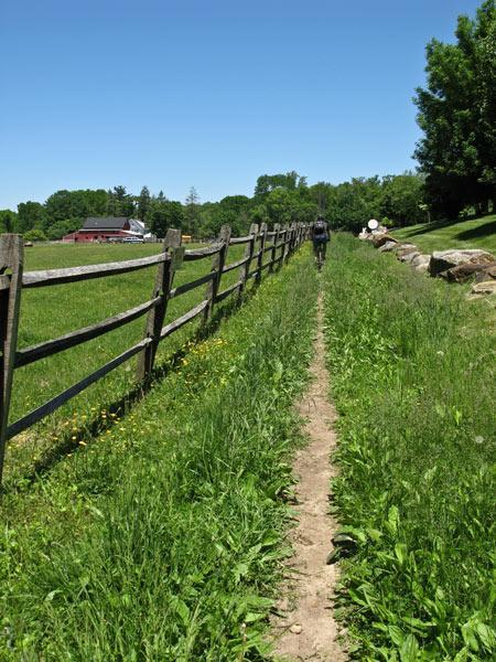 A narrow dirt path lined with tall grass and wildflowers, flanked by a wooden fence on one side. In the distance, a person is walking along the trail under a clear blue sky. On the other side of the fence, a grassy area leads to trees and a red barn. Brandywine State Park mountain bike trail.