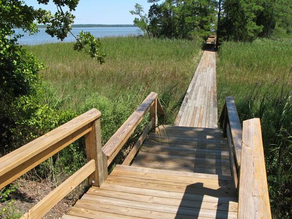 A wooden boardwalk leading down towards a body of water, surrounded by tall grasses and trees. The path is bathed in sunlight, providing a clear view of the serene landscape and water in the background. York River State Park mountain bike trail.