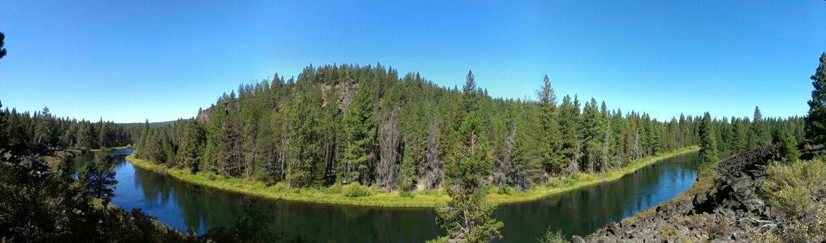 A panoramic view of a serene river winding through a lush green landscape. Tall coniferous trees line the banks, and clear blue skies stretch overhead, creating a tranquil natural scene. Deschutes River mountain bike trail.