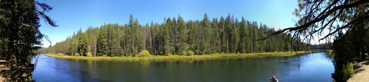 A panoramic view of a serene river surrounded by lush green forests under a clear blue sky. The calm water reflects the greenery, and a person is observed fishing along the riverbank. Deschutes River mountain bike trail.