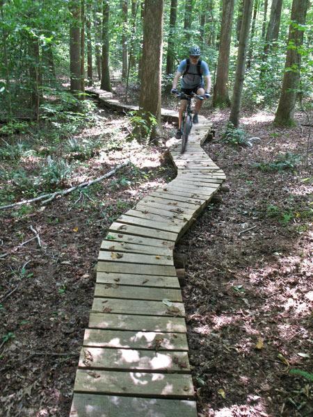 A cyclist riding on a winding wooden trail in a lush green forest, surrounded by tall trees and underbrush. The pathway curves through the woods, with sunlight filtering through the leaves, creating a serene and adventurous atmosphere. Rosaryville State Park mountain bike trail.