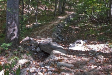 A narrow dirt path winds through a wooded area, bordered by rocks and surrounded by trees in various shades of green and autumn foliage. Fallen leaves cover the ground, and sunlight filters through the canopy, creating dappled light on the trail. Massanutten Western Slope mountain bike trail.