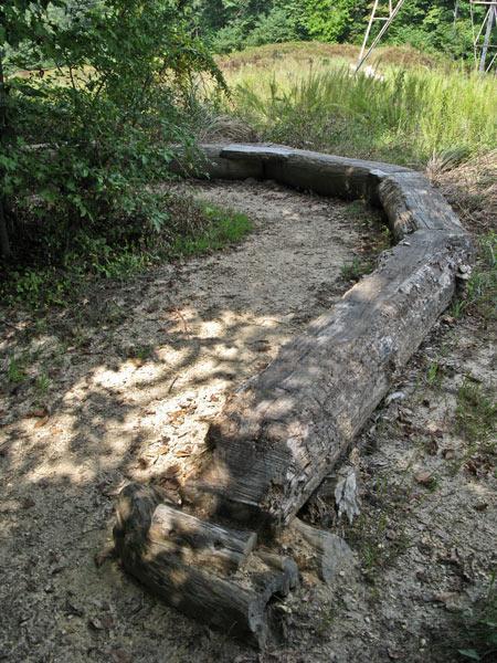 A curved wooden log resting on a sandy path surrounded by grass and bushes in a natural outdoor setting. Sunlight dapples the ground, creating a mix of light and shadow. Rosaryville State Park mountain bike trail.