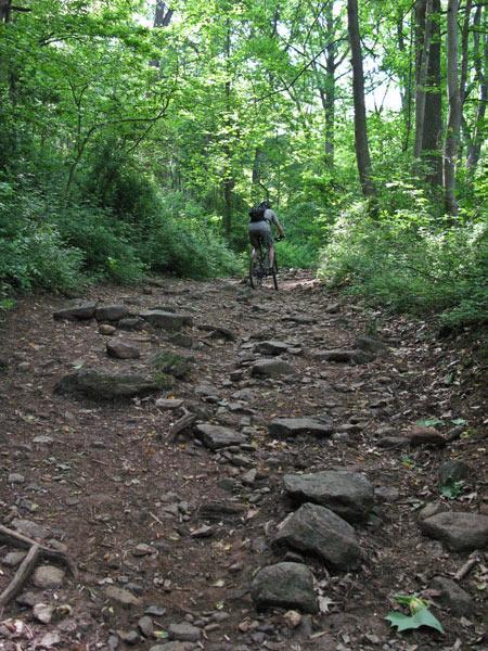 A person riding a bicycle on a rocky trail surrounded by lush green foliage and trees. The path appears rugged with visible stones and earthy terrain. Brandywine State Park mountain bike trail.