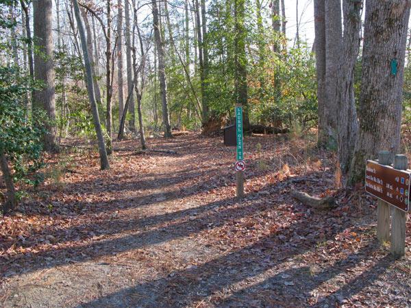 A scenic forest trail with leaf-covered ground, flanked by tall trees. A sign on the left indicates trail information, and another sign on the right provides various rules and guidelines. Sunlight filters through the branches, creating dappled shadows along the path. York River State Park mountain bike trail.
