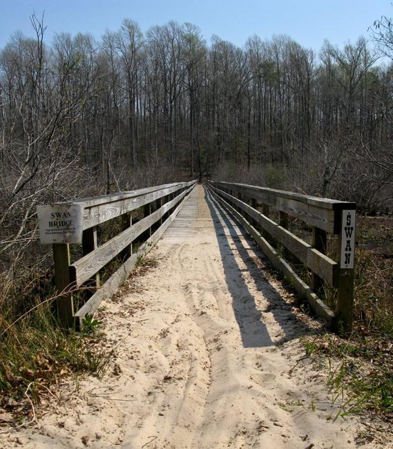 A wooden bridge with railings, leading through a sandy path surrounded by trees in a forest. Signs on either side read "Swan Bridge," indicating the name of the bridge. The background features tall, leafless trees under a clear blue sky. Beaverdam Park mountain bike trail.