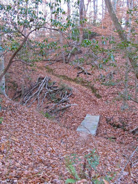 A natural woodland scene featuring a path covered in fallen leaves, leading to a wooden bridge across a small depression. The surrounding area includes trees with sparse green leaves and a pile of branches in the background, creating a tranquil and rustic atmosphere. York River State Park mountain bike trail.