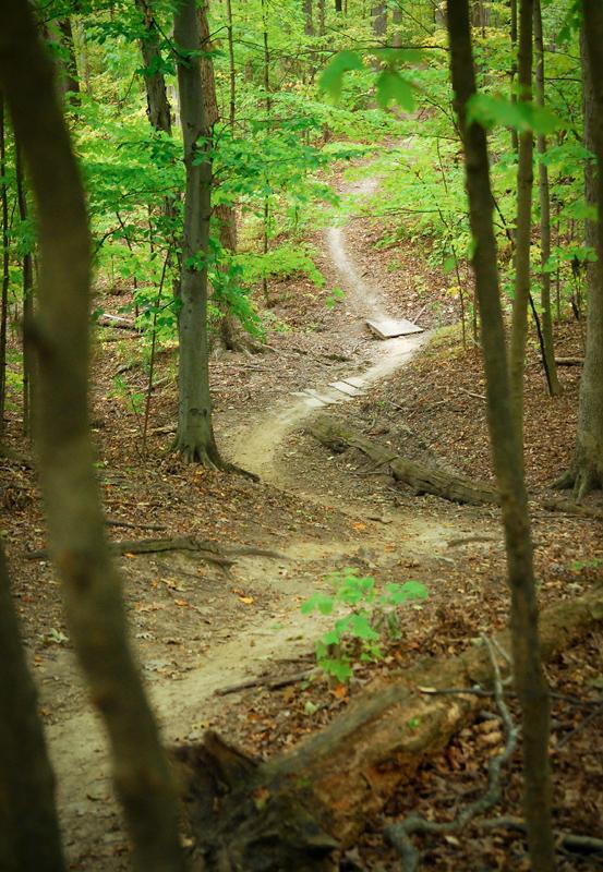 A winding dirt path meanders through a dense, green forest, surrounded by tall trees and scattered leaves on the ground. The trail curves gently, leading deeper into the woods, with patches of sunlight filtering through the foliage above. Franke Park mountain bike trail.