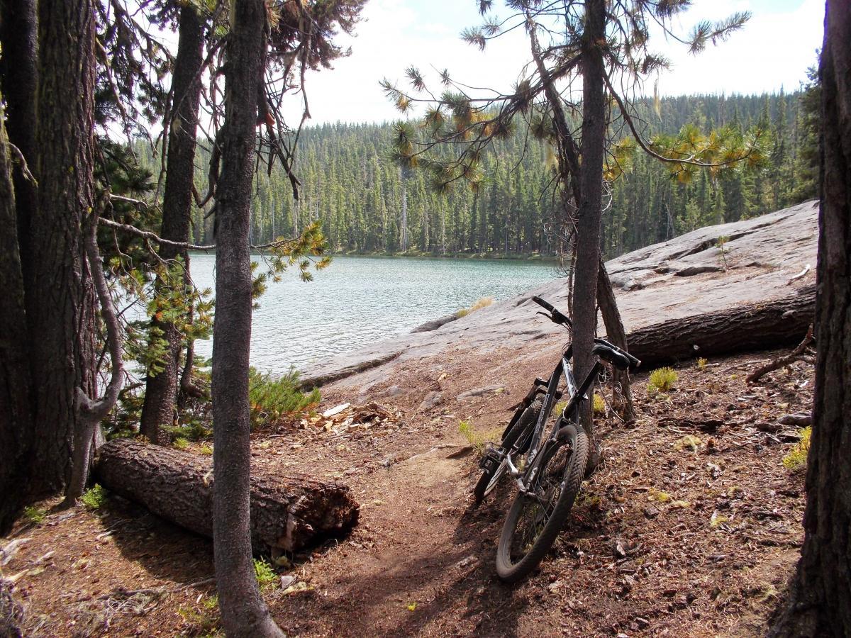 A mountain bike resting against a tree near a serene lake, surrounded by tall evergreens and rocky terrain, with a clear blue sky overhead. Gold Lake To Bobby Lake mountain bike trail.