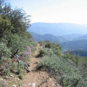 A scenic mountain trail lined with greenery and wildflowers, featuring a bicycle leaning against the side of the path, with distant mountain ranges visible under a clear blue sky. Buckhorn Loop mountain bike trail.